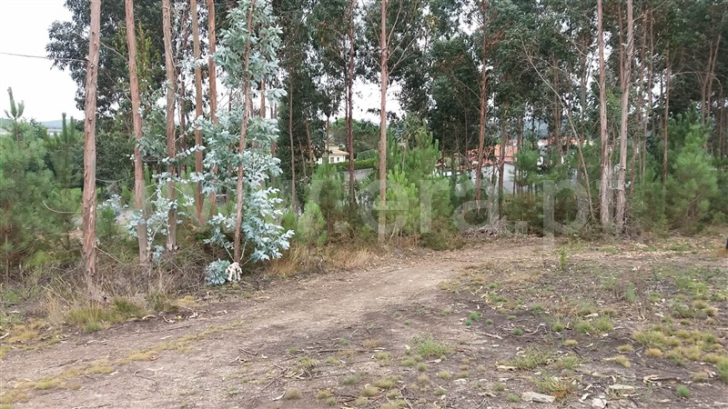 Terreno  Trofa, Covelas - 941133 - 3