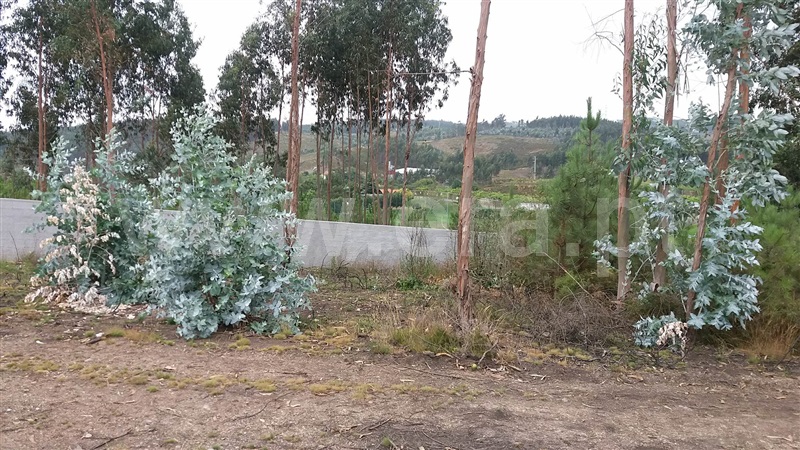 Terreno  Trofa, Covelas - 941133 - 5