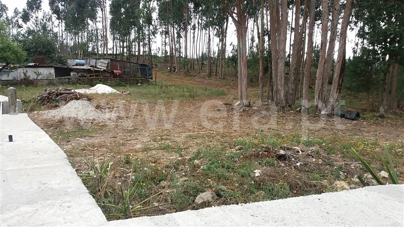 Terreno  Trofa, Covelas - 941133 - 6