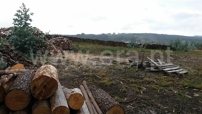 Terreno  Trofa, Covelas - 941133 - 7