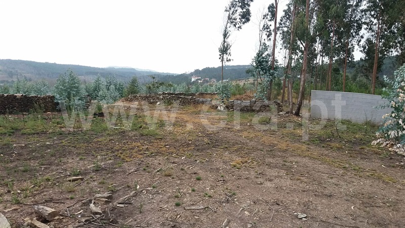 Terreno  Trofa, Covelas - 941133 - 8