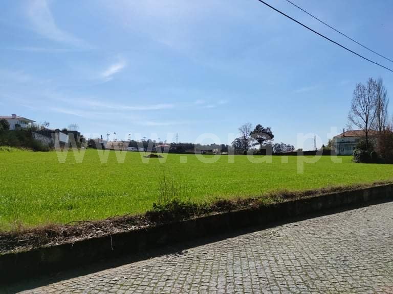 Terreno / Trofa, Muro