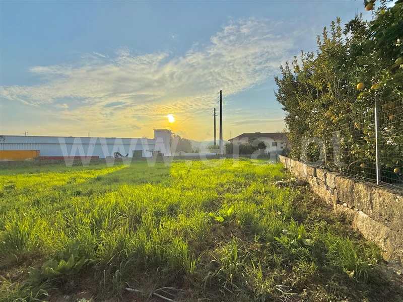 Terreno / Trofa, Muro