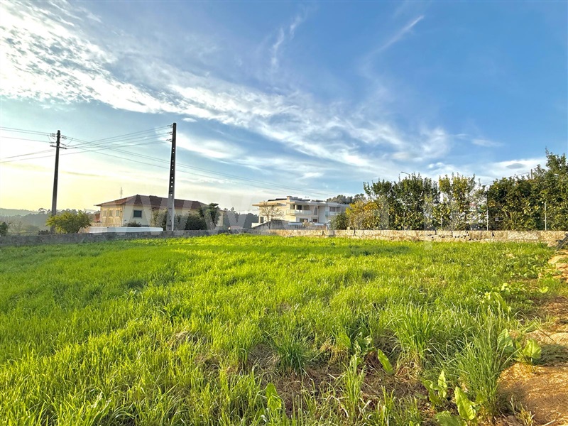 Terreno  Trofa, Muro - 1475545 - 6