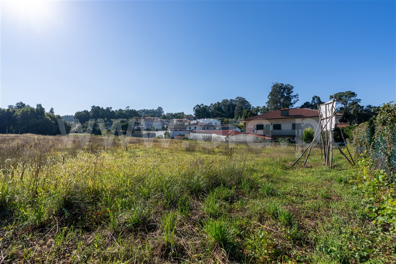 Terreno / Trofa, Muro