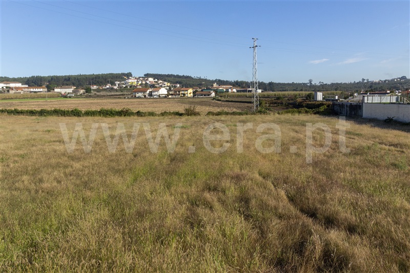 Terreno  Trofa, São Mamede do Coronado - 1042651 - 6