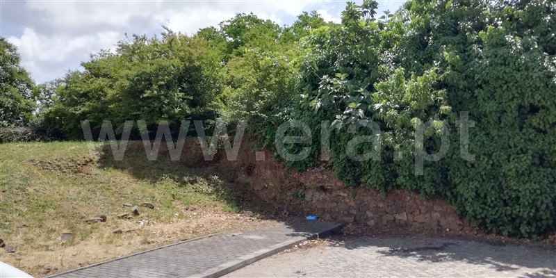 Terreno / Trofa, São Martinho de Bougado
