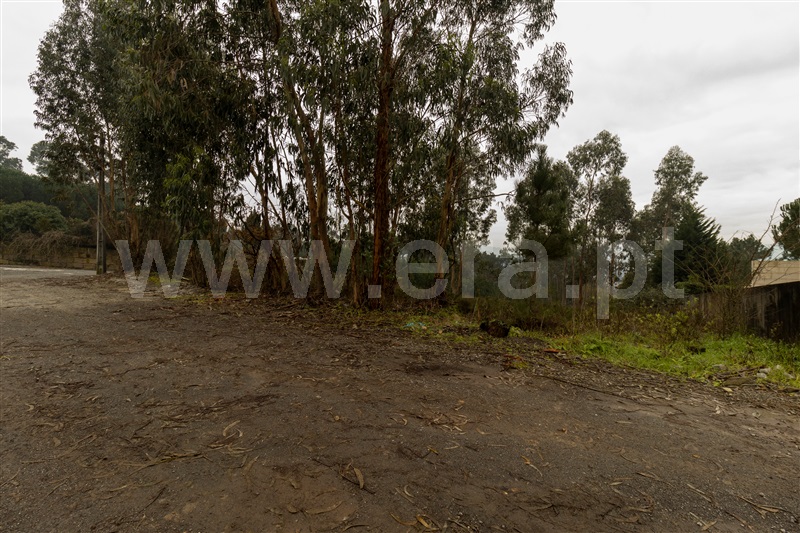Terreno  Trofa, São Martinho de Bougado - 1290421 - 5