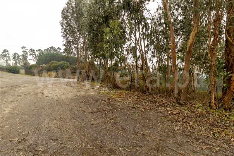 Terreno  Trofa, São Martinho de Bougado - 1290421 - 6