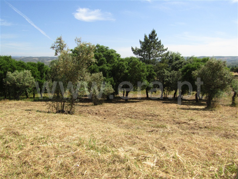 Terreno Urbano  Abrantes, Alvega - 1168765 - 2