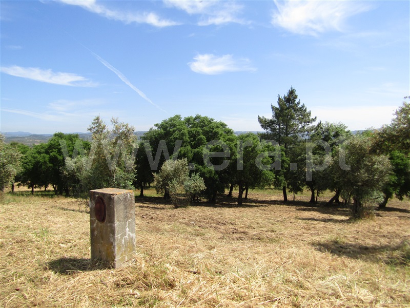 Terreno Urbano  Abrantes, Alvega - 1168765 - 3
