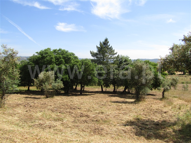 Terreno Urbano  Abrantes, Alvega - 1168765 - 5