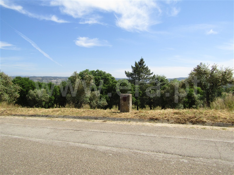 Terreno Urbano  Abrantes, Alvega - 1168765 - 6
