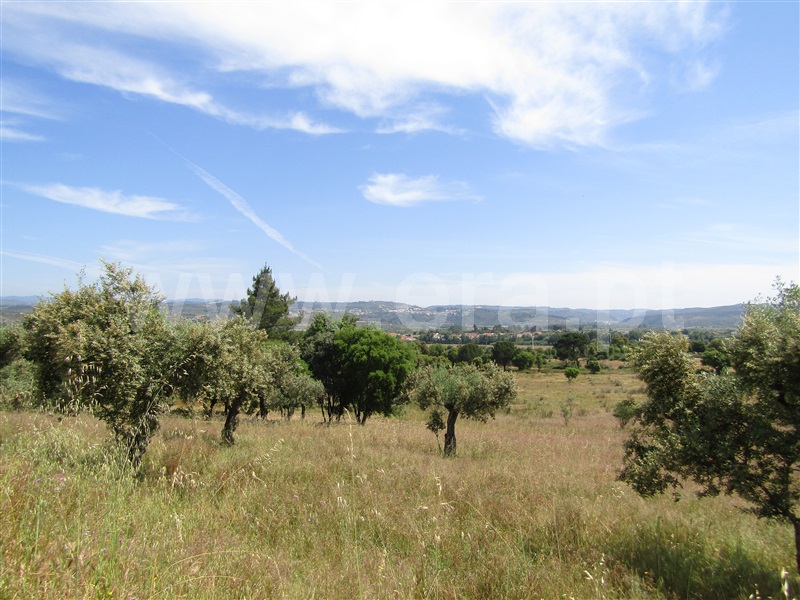 Terreno Urbano  Abrantes, Alvega - 1168765 - 7