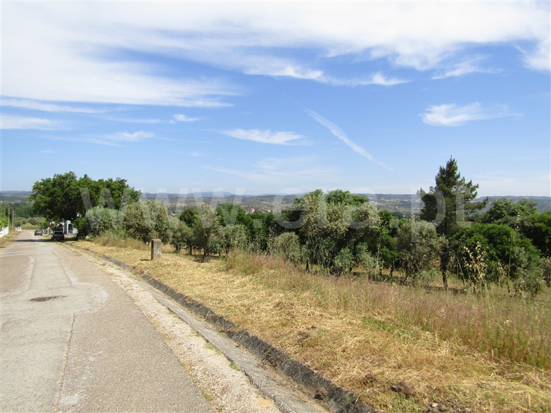 Terreno Urbano  Abrantes, Alvega - 1168765 - 8
