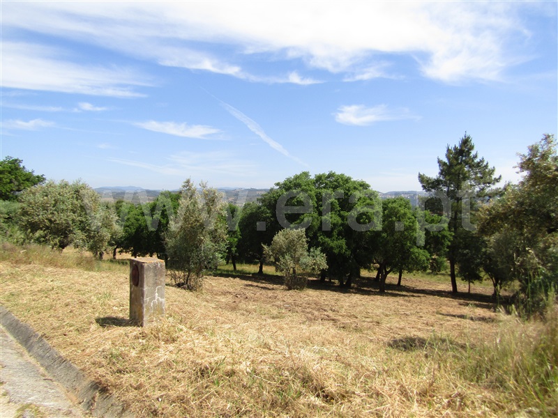 Terreno Urbano  Abrantes, Alvega - 1168765 - 9