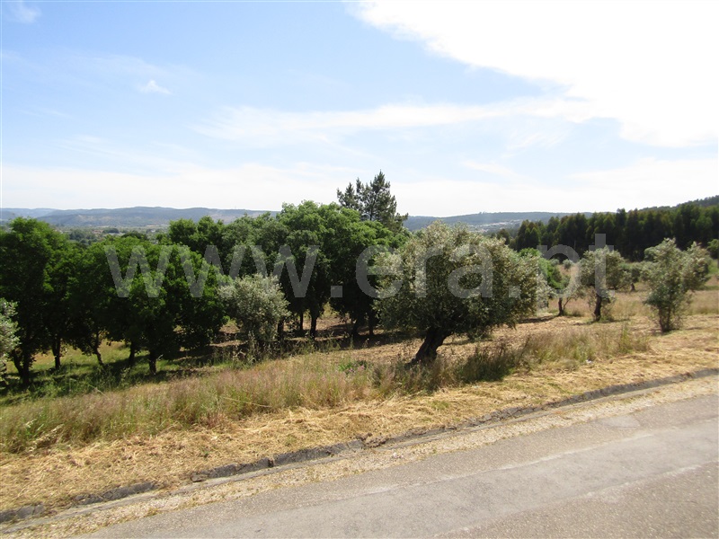 Terreno Urbano  Abrantes, Alvega - 1168765 - 11