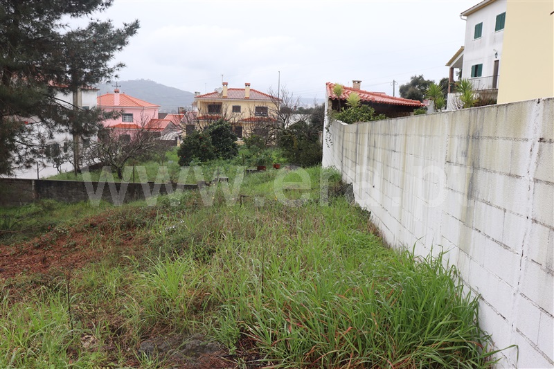 Terreno Urbano  Abrantes, Pego - 1466128 - 3