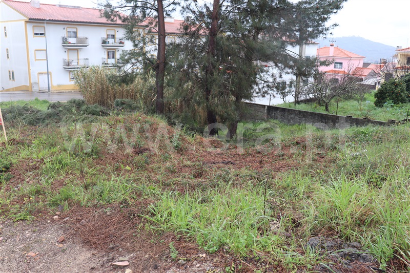 Terreno Urbano  Abrantes, Pego - 1466128 - 4