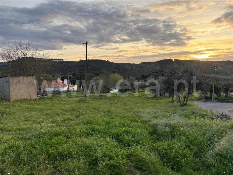 Terreno / Abrantes, Tramagal