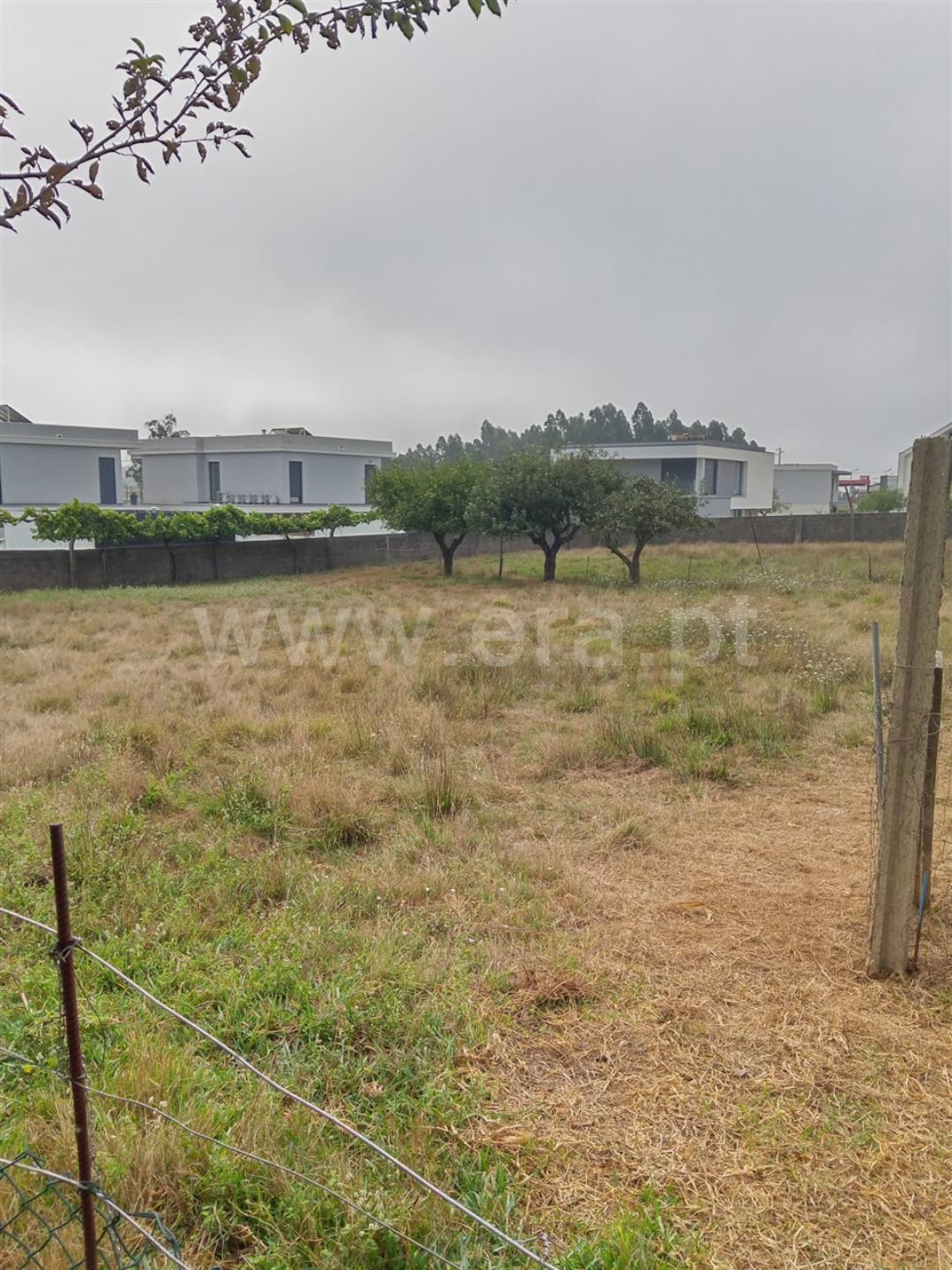 Land for sale in Albergaria-a-Velha, Portugal — €58,200
