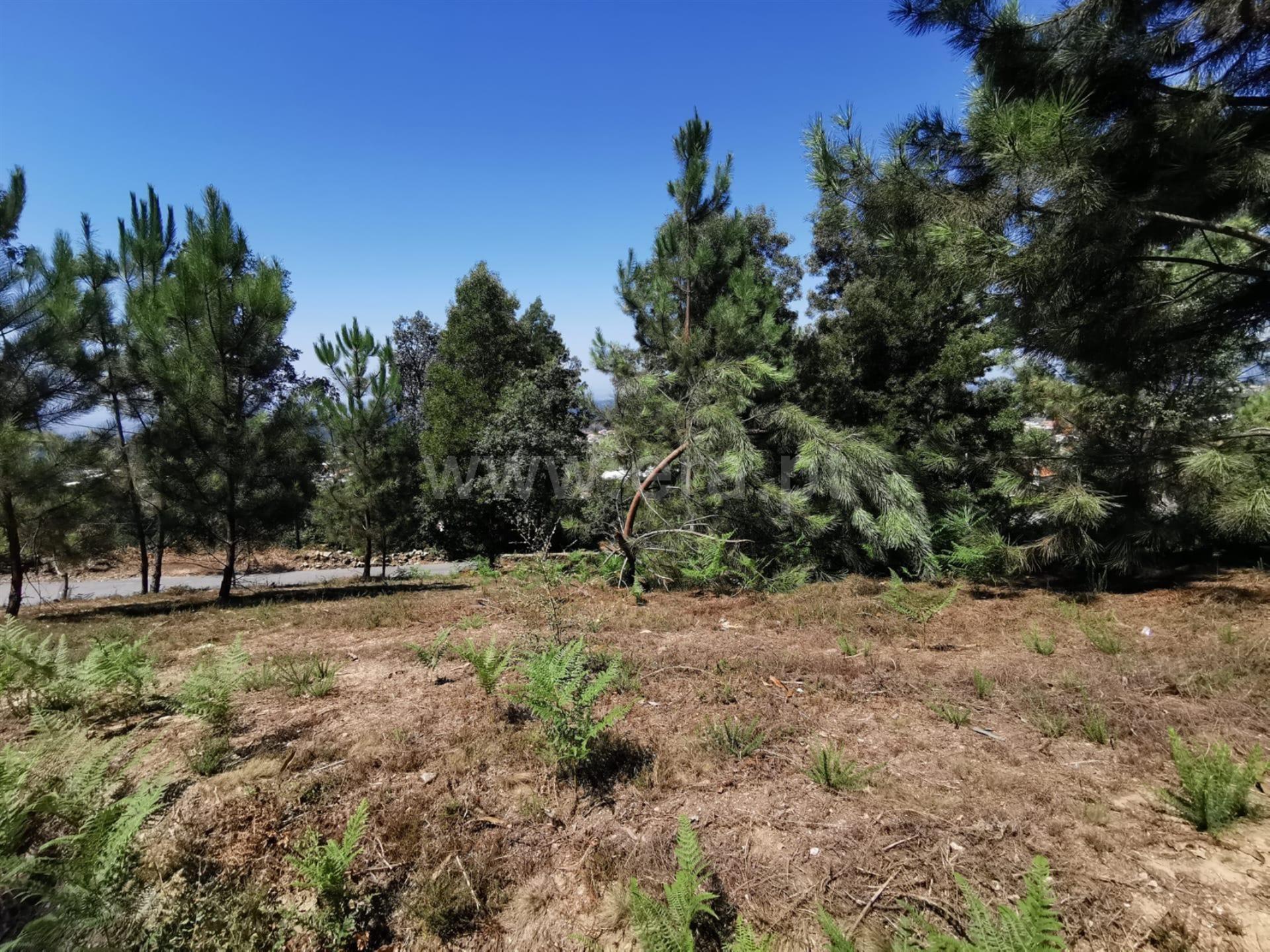 Land for sale in Albergaria-a-Velha, Portugal — €60,000