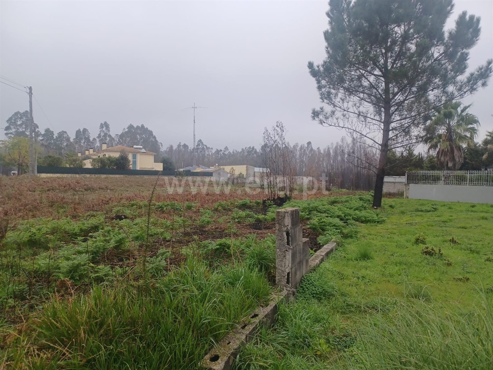 Land for sale in Albergaria-a-Velha, Portugal — €80,000
