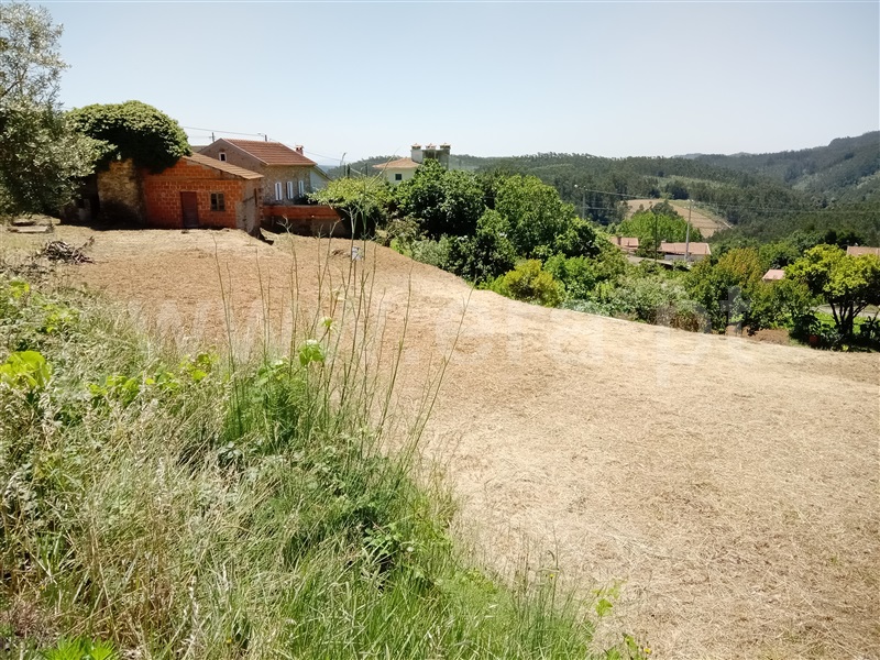 Terreno Urbano  Albergaria-a-Velha, Telhadela - 1257832 - 5