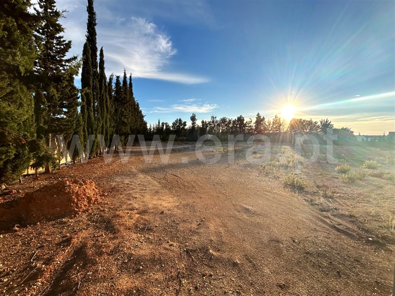 Terreno Urbano / Albufeira, Guia