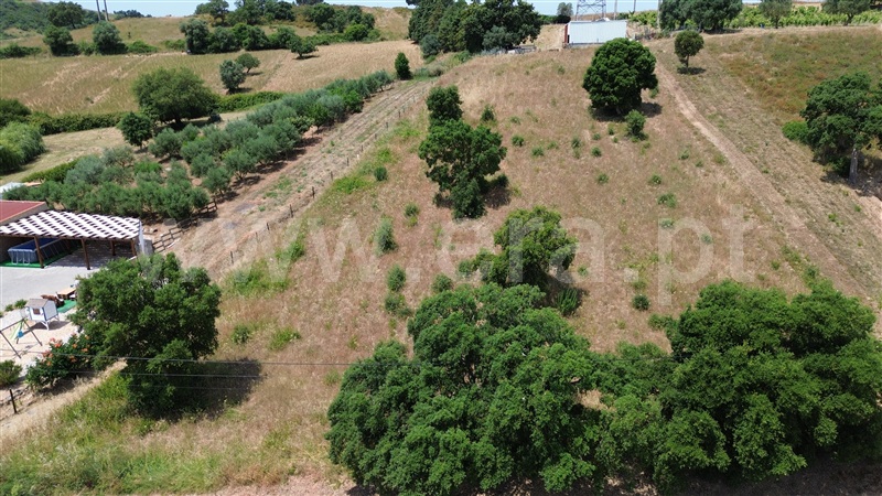 Terreno Urbano  Alenquer, Abrigada e Cabanas de Torres - 1404858 - 6