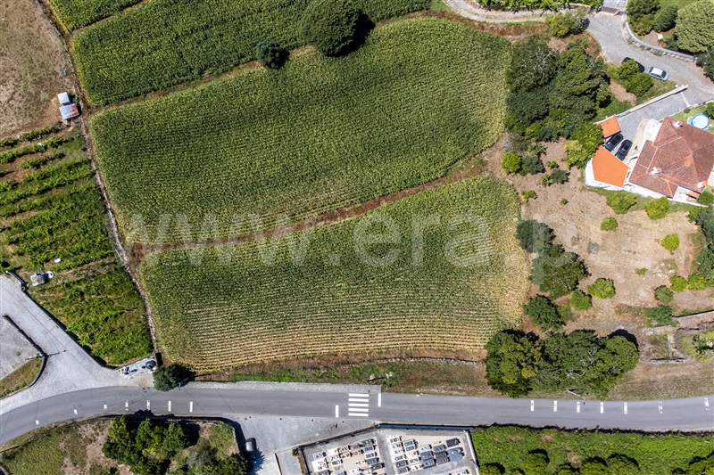 Terreno Urbano  Amares, Ferreiros, Prozelo e Besteiros - 1424453 - 11