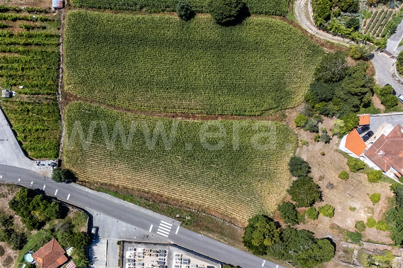 Terreno Urbano / Amares, Ferreiros, Prozelo e Besteiros