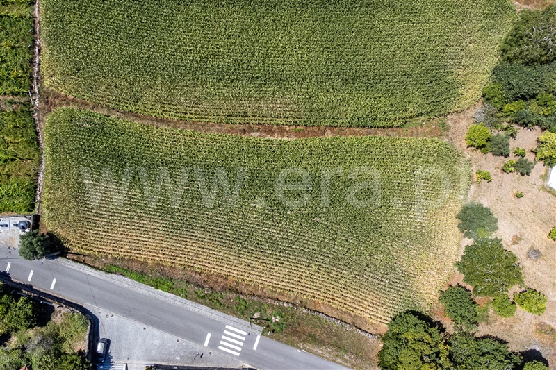 Terreno Urbano  Amares, Ferreiros, Prozelo e Besteiros - 1424453 - 13