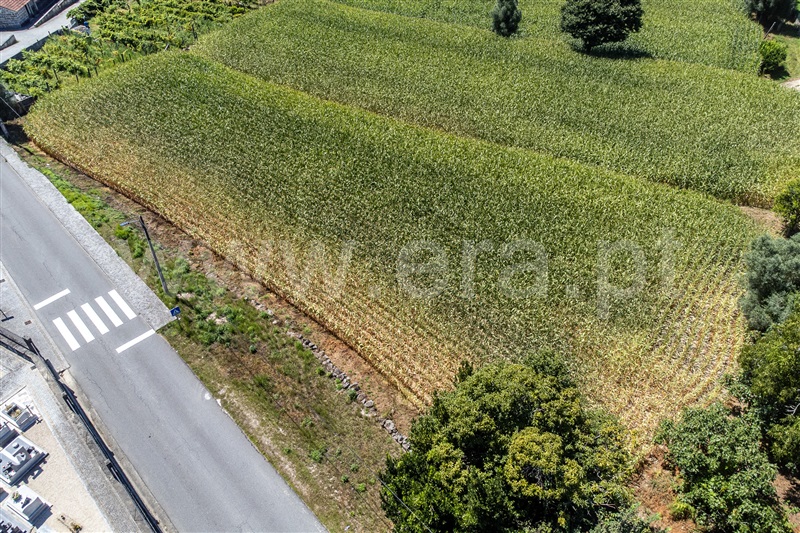 Terreno Urbano  Amares, Ferreiros, Prozelo e Besteiros - 1424453 - 14