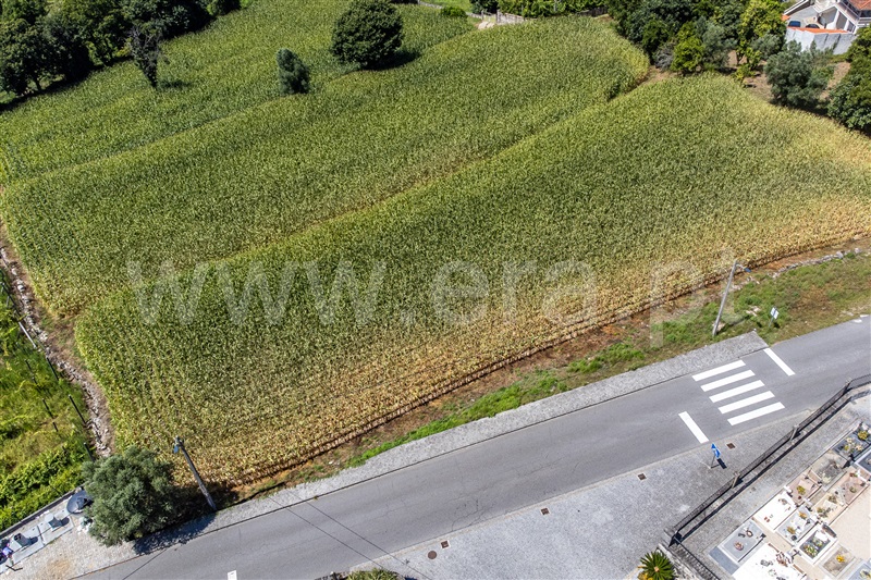 Terreno Urbano  Amares, Ferreiros, Prozelo e Besteiros - 1424453 - 15