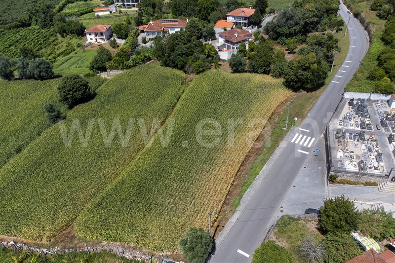 Terreno Urbano  Amares, Ferreiros, Prozelo e Besteiros - 1424455 - 2