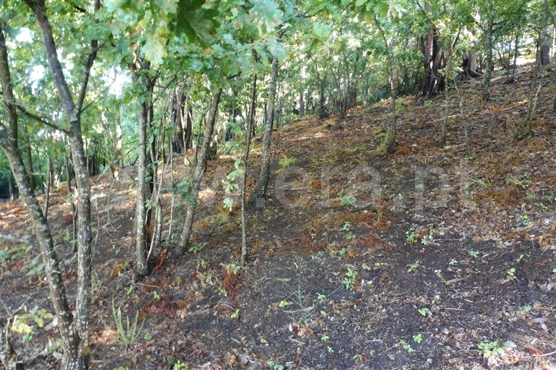 Terreno Urbano  Amares, Torre e Portela - 1113749 - 2