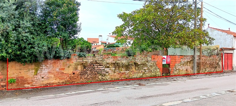 Terreno Urbano  Anadia, Arcos - 1366290 - 7