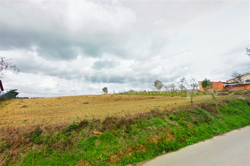 Terreno Urbano  Anadia, Avelãs de Cima - 1349913 - 1