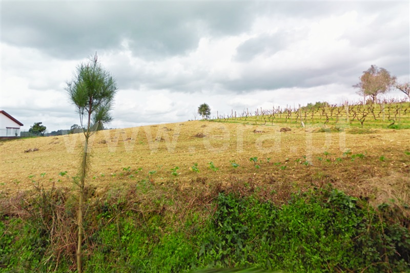 Terreno Urbano  Anadia, Avelãs de Cima - 1349913 - 2