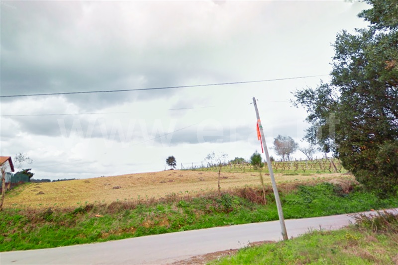 Terreno Urbano  Anadia, Avelãs de Cima - 1349913 - 4