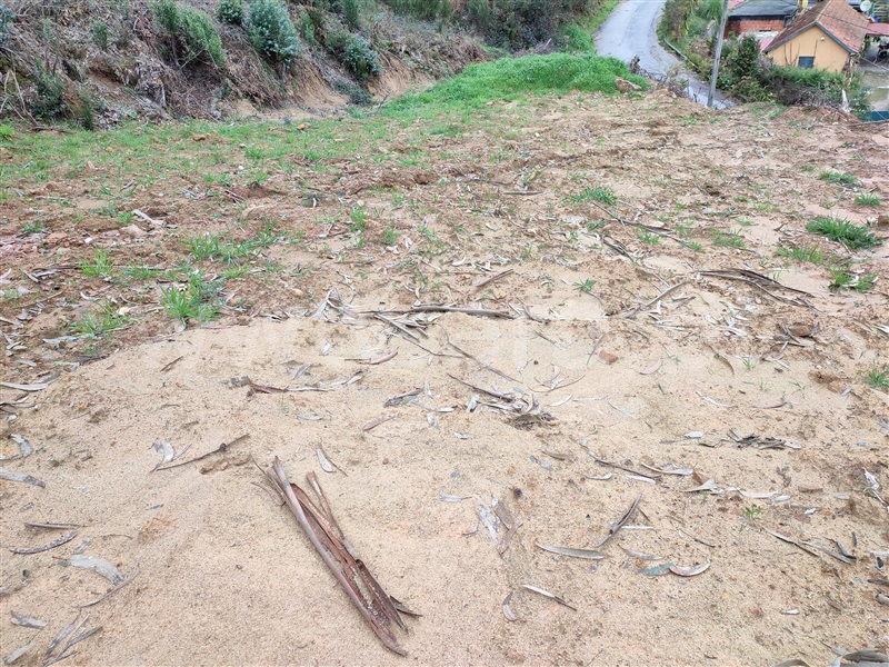 Terreno Urbano  Arouca, Santa Eulália - 1469294 - 2
