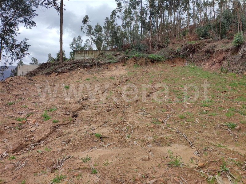 Terreno Urbano  Arouca, Santa Eulália - 1469294 - 3