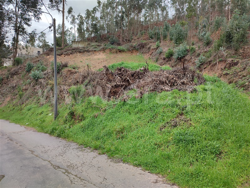 Terreno Urbano  Arouca, Santa Eulália - 1469294 - 5