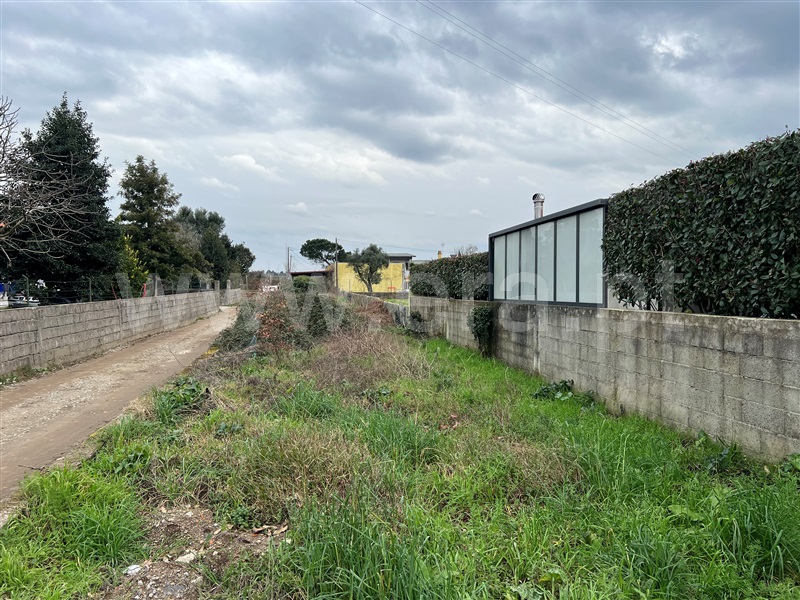 Terreno Urbano  Barcelos, Galegos (São Martinho) - 1463849 - 7