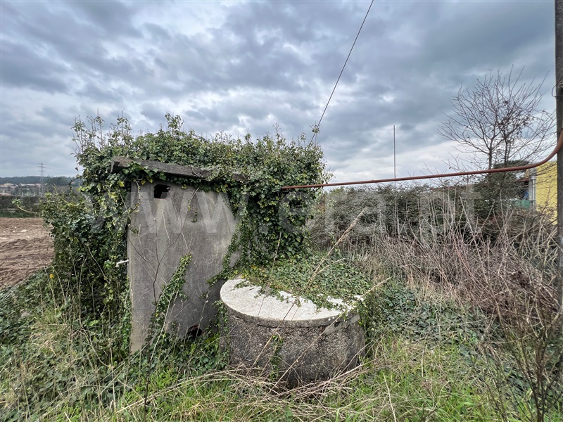 Terreno Urbano  Barcelos, Galegos (São Martinho) - 1463849 - 14