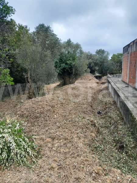 Terreno para Construção  Barcelos, Perelhal - 1422977 - 10