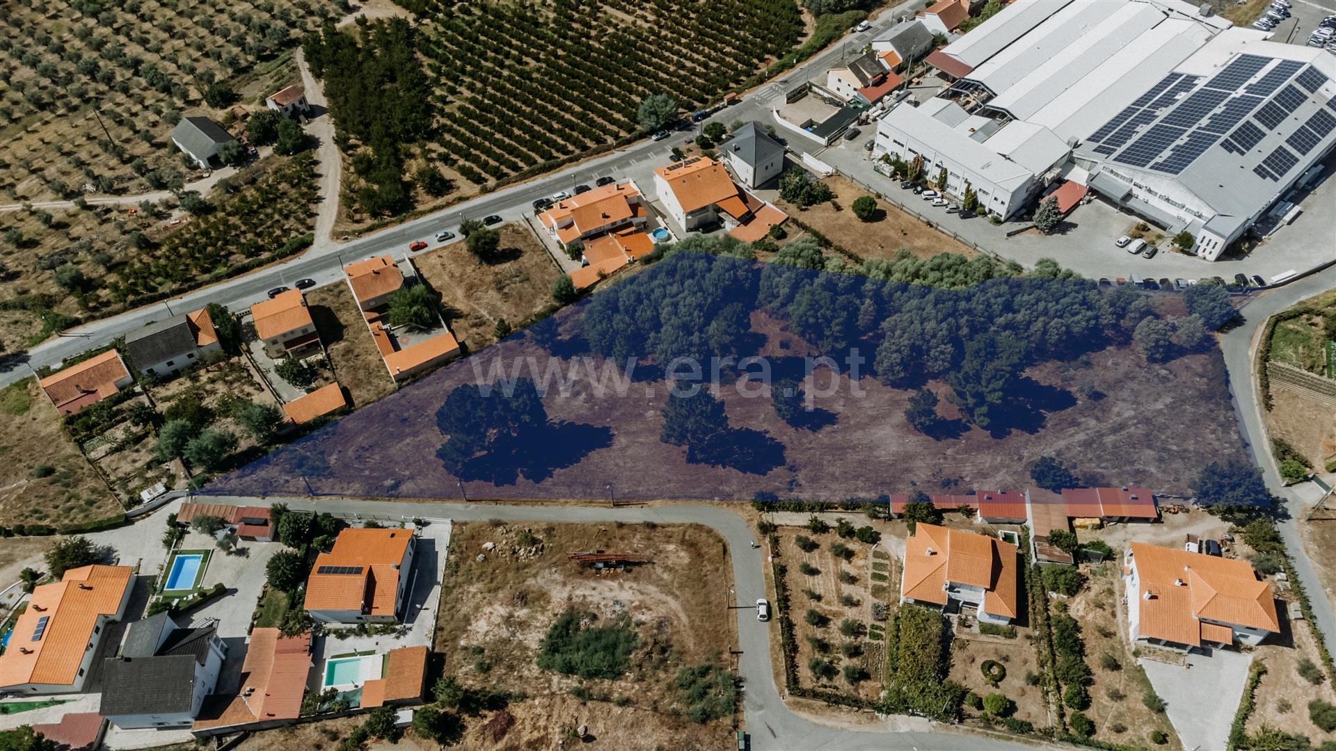 Terreno em Covilhã
