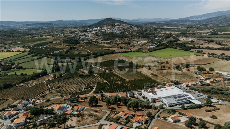 Terreno  Belmonte, Colmeal da Torre - 1426658 - 6