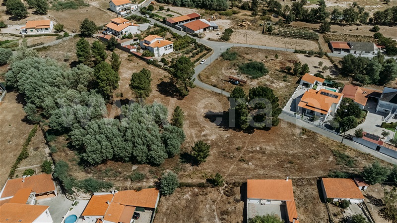 Terreno  Belmonte, Colmeal da Torre - 1426658 - 12